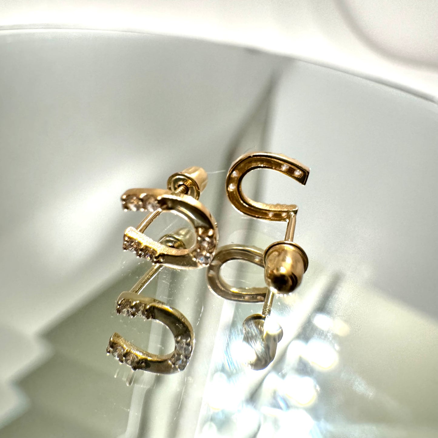 Small Horseshoe Earring