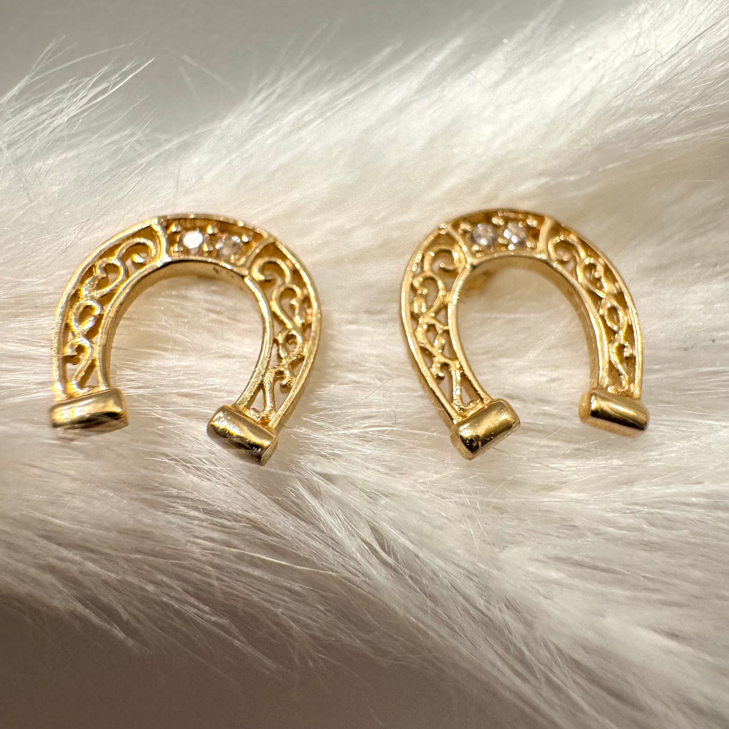 Small Horseshoe Earring